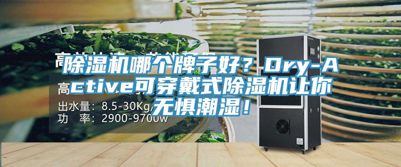 除濕機哪個牌子好？Dry-Active可穿戴式除濕機讓你無懼潮濕！