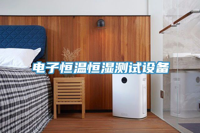 電子恒溫恒濕測試設備