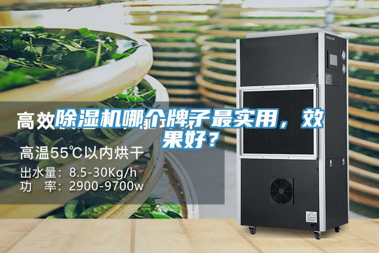 除濕機(jī)哪個(gè)牌子最實(shí)用，效果好？