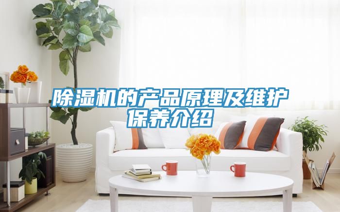 除濕機的產(chǎn)品原理及維護(hù)保養(yǎng)介紹