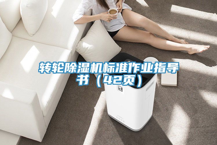 轉(zhuǎn)輪除濕機標準作業(yè)指導(dǎo)書（42頁）