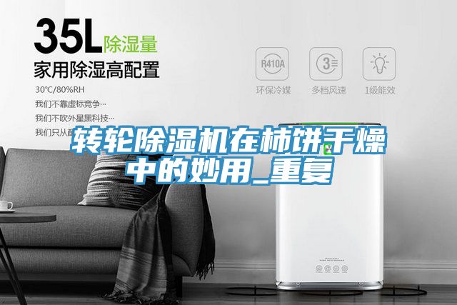 轉(zhuǎn)輪除濕機在柿餅干燥中的妙用_重復(fù)