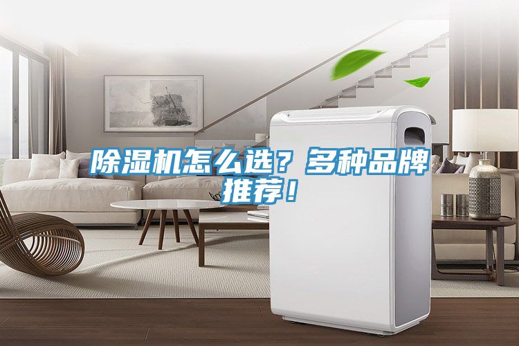 除濕機(jī)怎么選？多種品牌推薦！