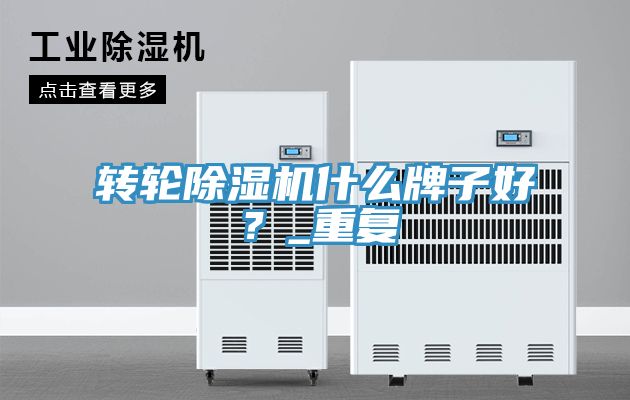 轉(zhuǎn)輪除濕機什么牌子好？_重復(fù)