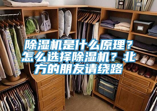 除濕機(jī)是什么原理？怎么選擇除濕機(jī)？北方的朋友請繞路