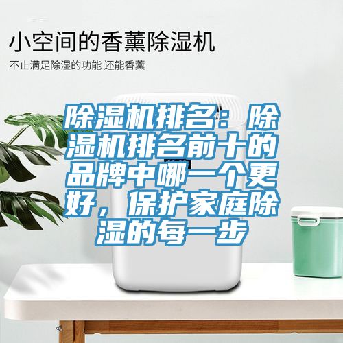 除濕機(jī)排名：除濕機(jī)排名前十的品牌中哪一個(gè)更好，保護(hù)家庭除濕的每一步