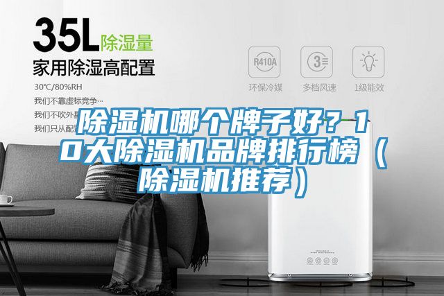 除濕機(jī)哪個(gè)牌子好？10大除濕機(jī)品牌排行榜（除濕機(jī)推薦）