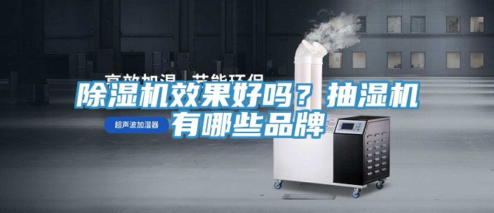 除濕機(jī)效果好嗎？抽濕機(jī)有哪些品牌