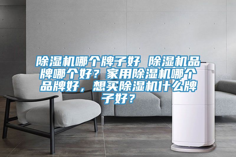 除濕機(jī)哪個(gè)牌子好 除濕機(jī)品牌哪個(gè)好？家用除濕機(jī)哪個(gè)品牌好，想買除濕機(jī)什么牌子好？