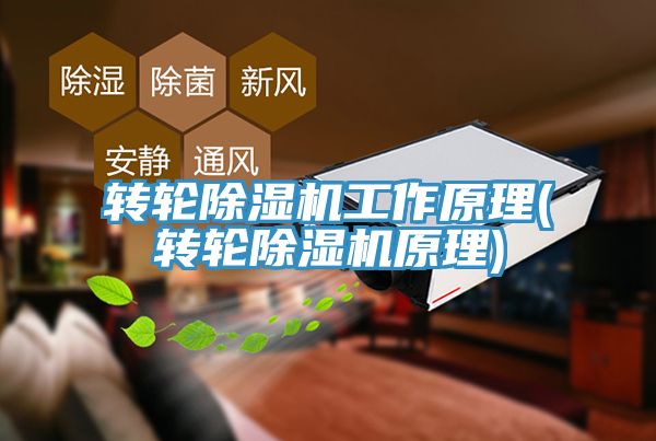 轉(zhuǎn)輪除濕機工作原理(轉(zhuǎn)輪除濕機原理)