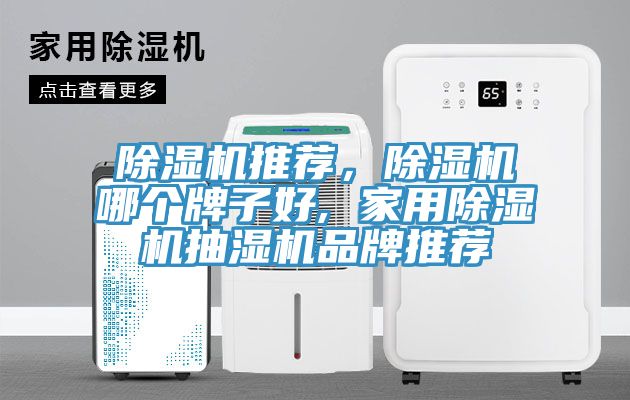 除濕機(jī)推薦，除濕機(jī)哪個(gè)牌子好, 家用除濕機(jī)抽濕機(jī)品牌推薦