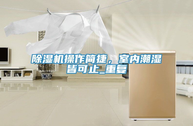 除濕機(jī)操作簡(jiǎn)捷，室內(nèi)潮濕皆可止_重復(fù)
