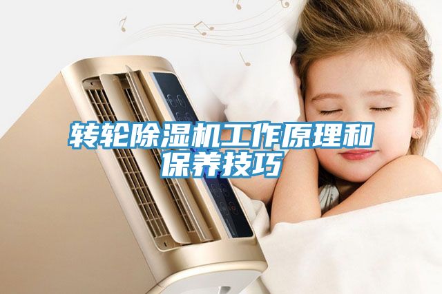 轉(zhuǎn)輪除濕機工作原理和保養(yǎng)技巧