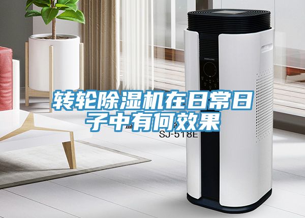 轉(zhuǎn)輪除濕機在日常日子中有何效果