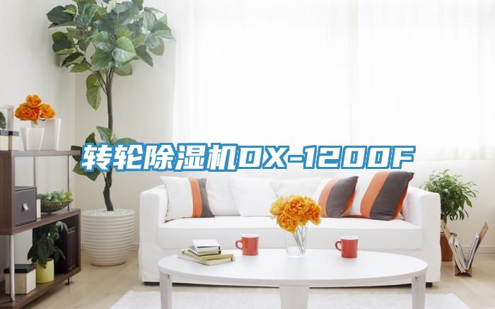 轉(zhuǎn)輪除濕機(jī)DX-1200F