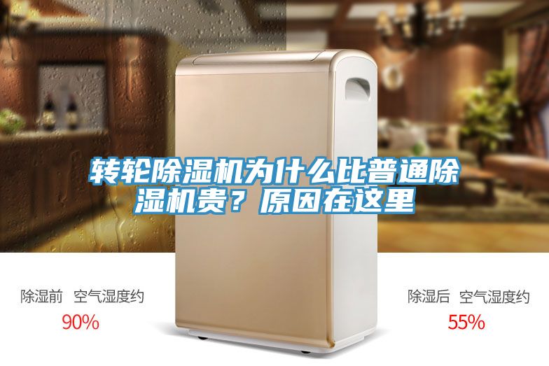 轉(zhuǎn)輪除濕機為什么比普通除濕機貴？原因在這里