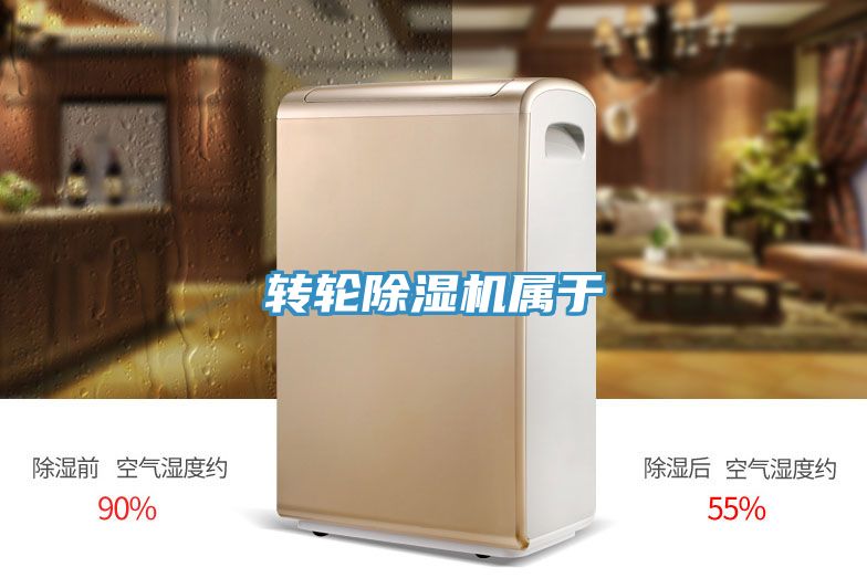 轉(zhuǎn)輪除濕機屬于
