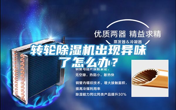 轉(zhuǎn)輪除濕機(jī)出現(xiàn)異味了怎么辦？