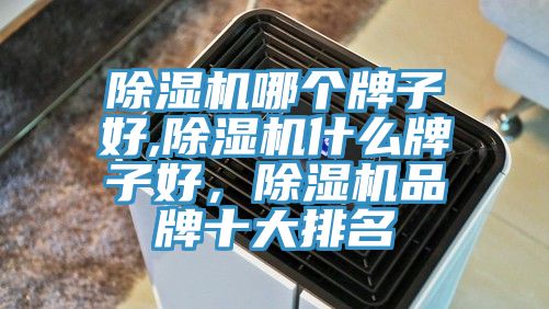 除濕機(jī)哪個(gè)牌子好,除濕機(jī)什么牌子好，除濕機(jī)品牌十大排名