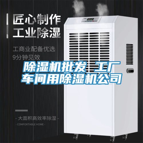除濕機(jī)批發(fā) 工廠車(chē)間用除濕機(jī)公司