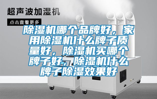 除濕機哪個品牌好，家用除濕機什么牌子質量好，除濕機買哪個牌子好，除濕機什么牌子除濕效果好