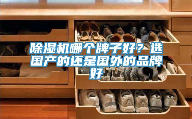除濕機(jī)哪個(gè)牌子好？選國產(chǎn)的還是國外的品牌好
