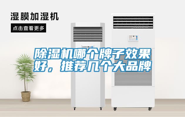 除濕機(jī)哪個(gè)牌子效果好，推薦幾個(gè)大品牌