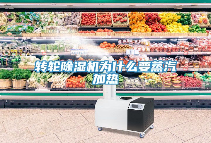 轉(zhuǎn)輪除濕機為什么要蒸汽加熱