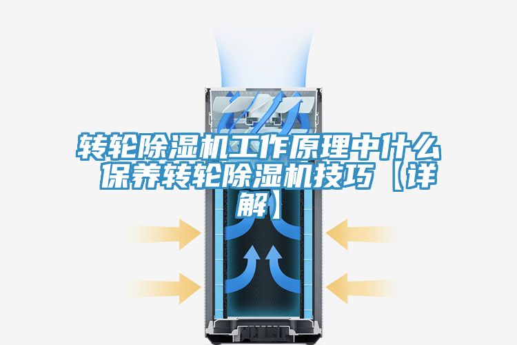 轉(zhuǎn)輪除濕機工作原理中什么 保養(yǎng)轉(zhuǎn)輪除濕機技巧【詳解】