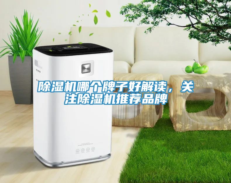 除濕機(jī)哪個(gè)牌子好解讀，關(guān)注除濕機(jī)推薦品牌