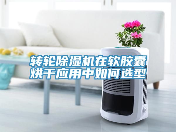 轉(zhuǎn)輪除濕機在軟膠囊烘干應(yīng)用中如何選型