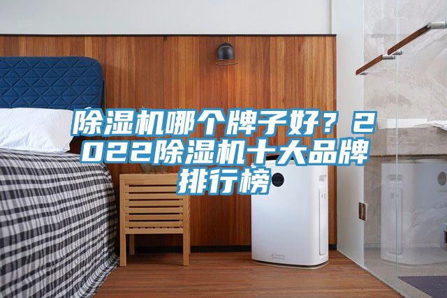 除濕機(jī)哪個(gè)牌子好？2022除濕機(jī)十大品牌排行榜
