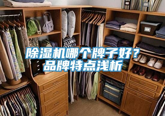 除濕機(jī)哪個(gè)牌子好？品牌特點(diǎn)淺析