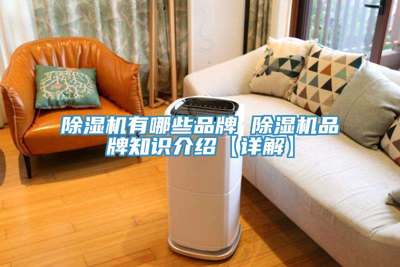 除濕機(jī)有哪些品牌 除濕機(jī)品牌知識(shí)介紹【詳解】