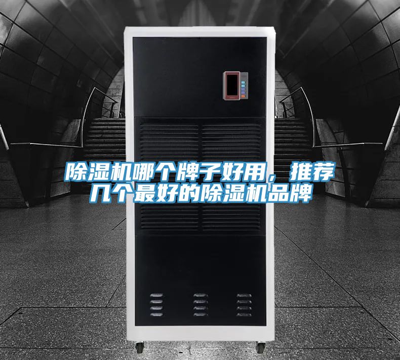 除濕機(jī)哪個(gè)牌子好用，推薦幾個(gè)最好的除濕機(jī)品牌