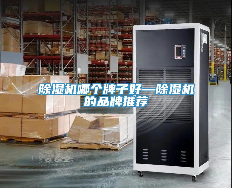 除濕機(jī)哪個(gè)牌子好—除濕機(jī)的品牌推薦