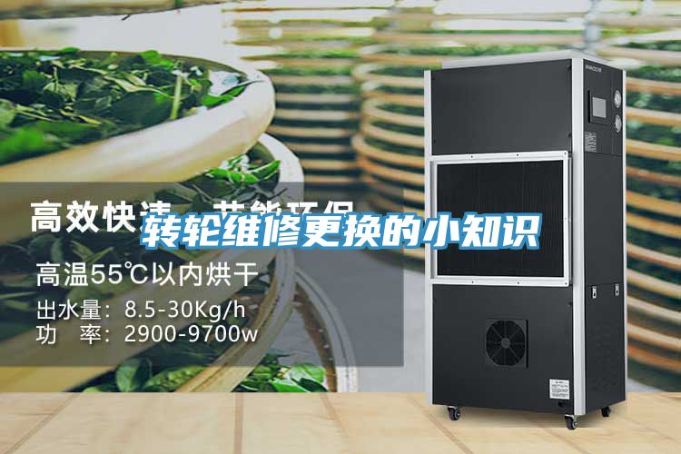 轉(zhuǎn)輪維修更換的小知識(shí)