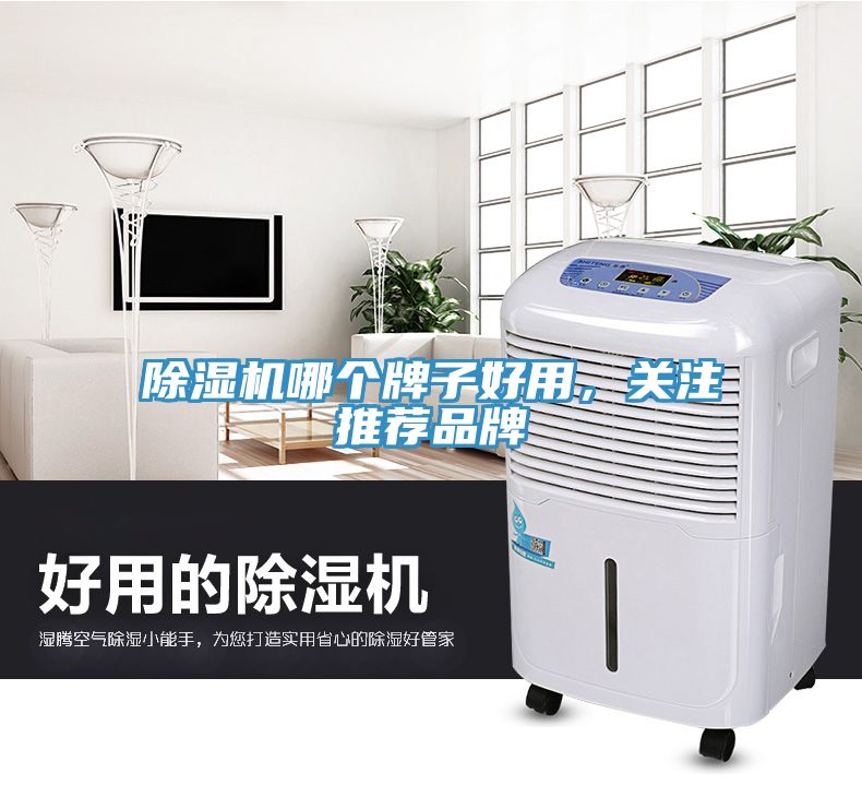 除濕機(jī)哪個(gè)牌子好用，關(guān)注推薦品牌