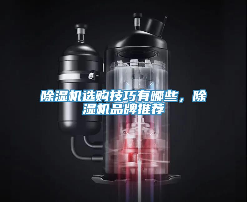 除濕機(jī)選購(gòu)技巧有哪些，除濕機(jī)品牌推薦