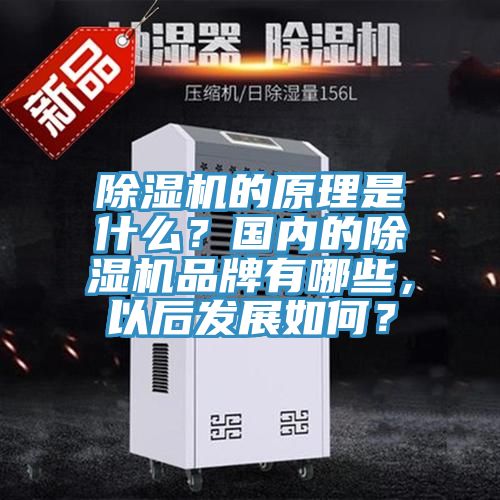 除濕機(jī)的原理是什么？國內(nèi)的除濕機(jī)品牌有哪些，以后發(fā)展如何？