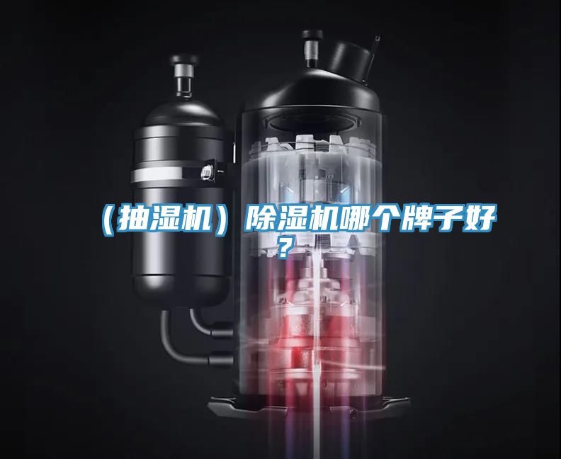 （抽濕機(jī)）除濕機(jī)哪個牌子好？