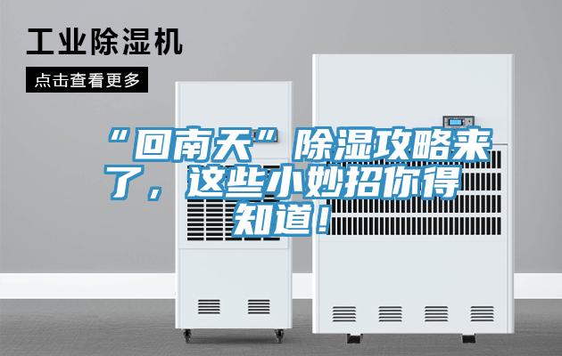 “回南天”除濕攻略來了，這些小妙招你得知道！