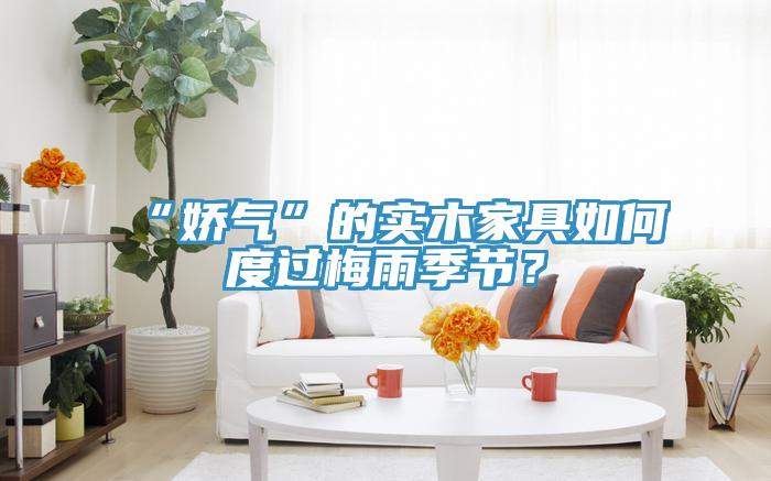 “嬌氣”的實(shí)木家具如何度過(guò)梅雨季節(jié)？