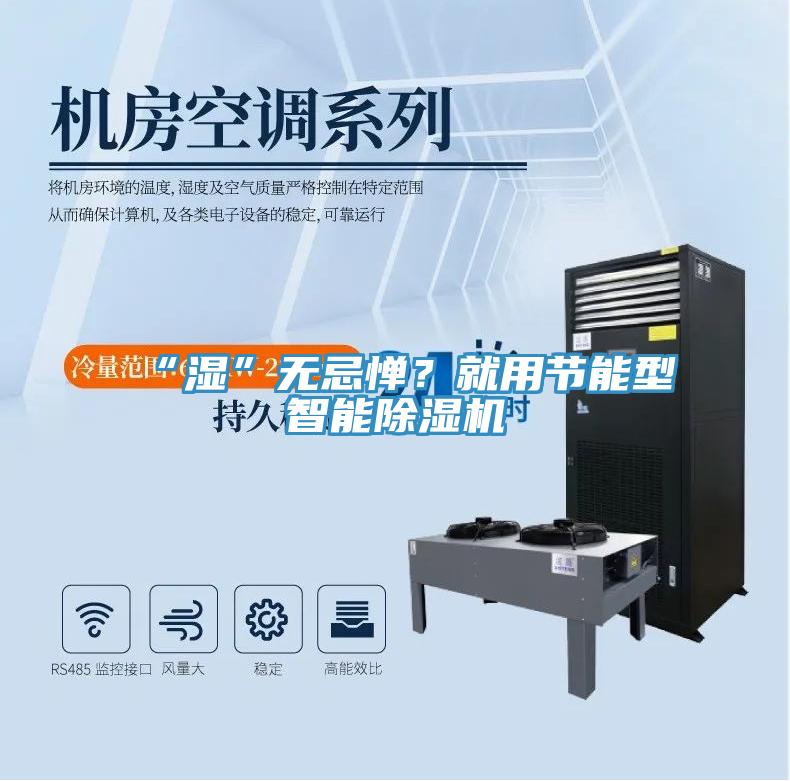 “濕”無(wú)忌憚？就用節(jié)能型智能除濕機(jī)