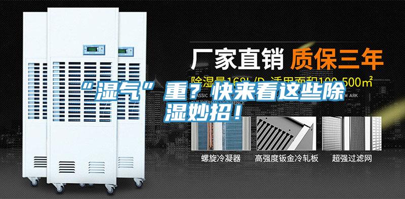 “濕氣”重？快來(lái)看這些除濕妙招！