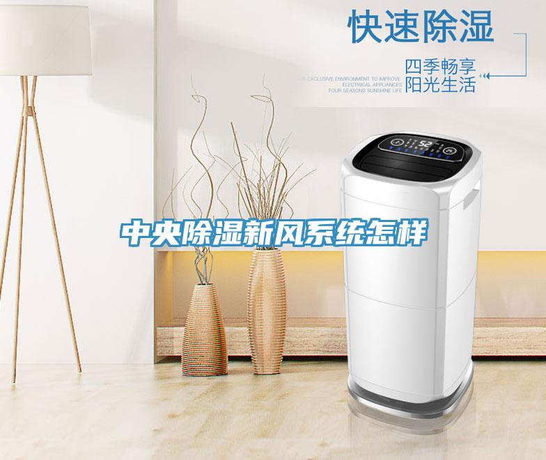 中央除濕新風系統(tǒng)怎樣