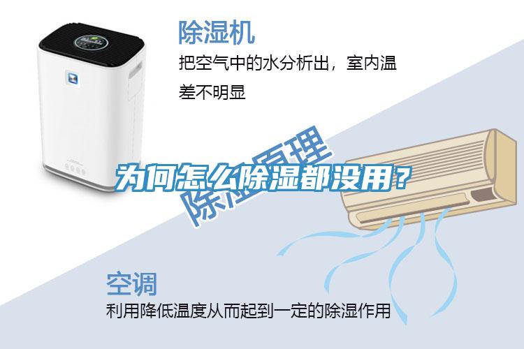 為何怎么除濕都沒(méi)用？