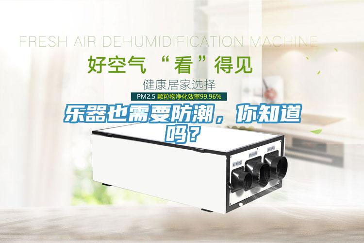 樂器也需要防潮，你知道嗎？