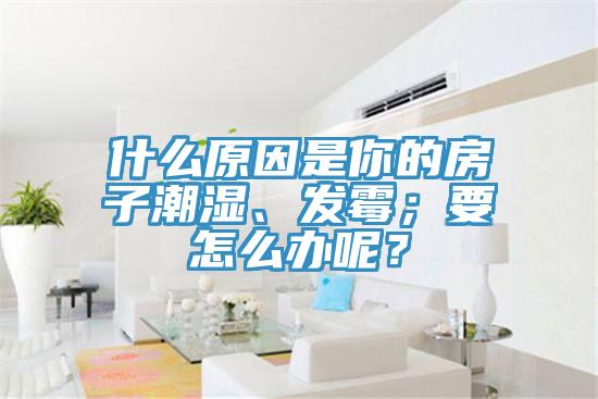 什么原因是你的房子潮濕、發(fā)霉；要怎么辦呢？