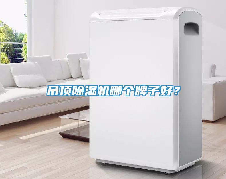 吊頂除濕機哪個牌子好？